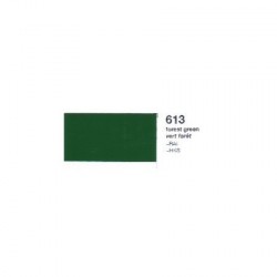 MTS/2 VINILO ORACAL 651-613 VERDE  BOSQUE