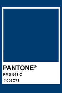PANTONE 541C