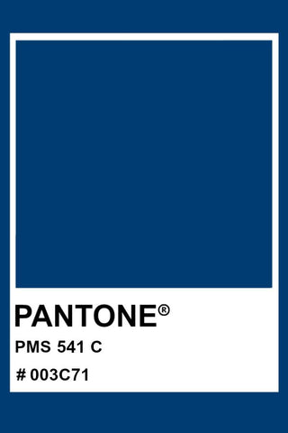 PANTONE 541C