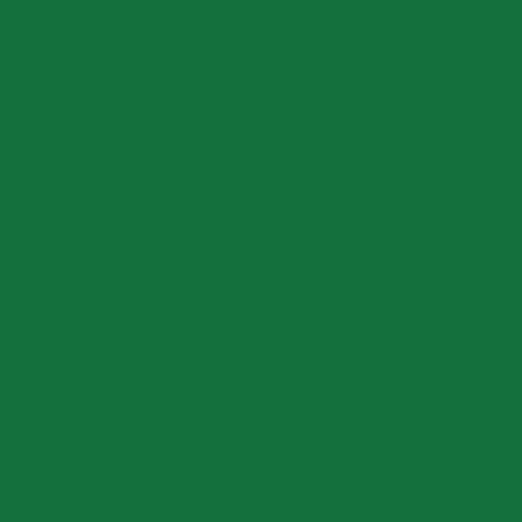 MTS. PS EXTRA VERDE 0.50 X 25