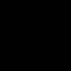 MTS. BRICK NEGRO ( 0.5*5 MTS )