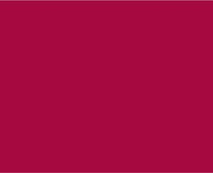 PIGMENTO TEXPRINT CARMIN TH.10A/1