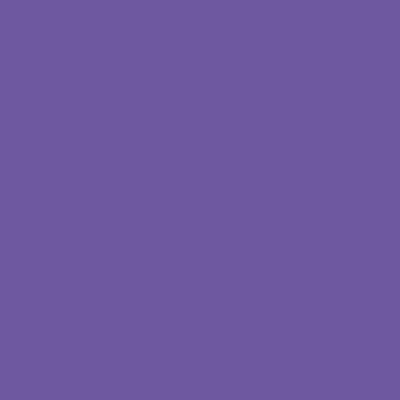 VIOLETA PLUS QUIMONYL Q-13